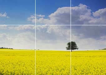 Why The Rule of Thirds Is Rule #1 for Visual Art | PhotoLuminary